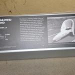 Peterson_129 (July 28, 2019)